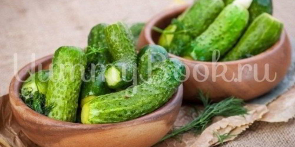 Рецепт малосольные огурцы