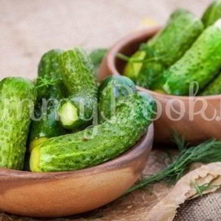 Малосольные огурцы