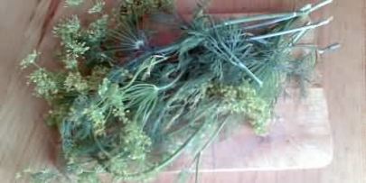 малосольные огурцы