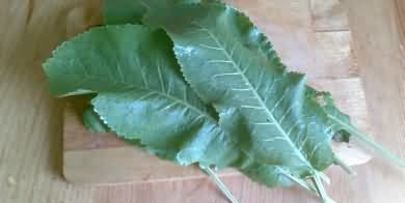 малосольные огурцы