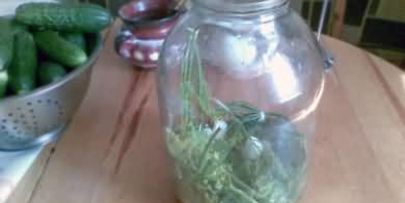 малосольные огурцы