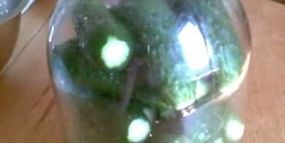 малосольные огурцы