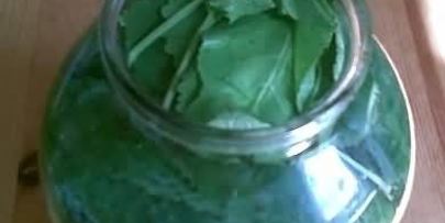 малосольные огурцы