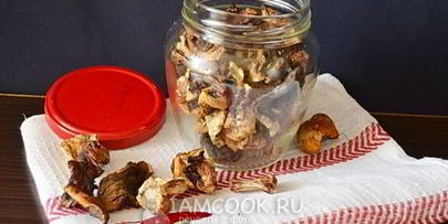 сушеные белые грибы