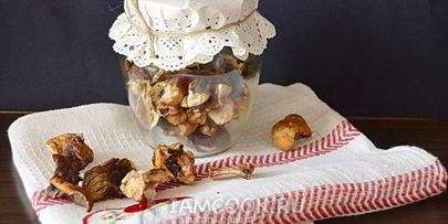 сушеные белые грибы