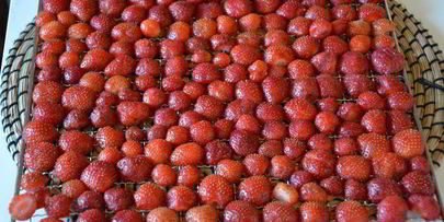 сушеные клубника, земляника, вишня и малина