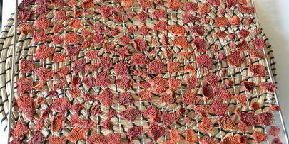 сушеные клубника, земляника, вишня и малина