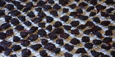 сушеные клубника, земляника, вишня и малина