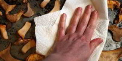 сушка грибов в духовке