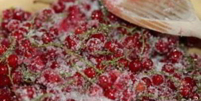 густое варенье из красной смородины