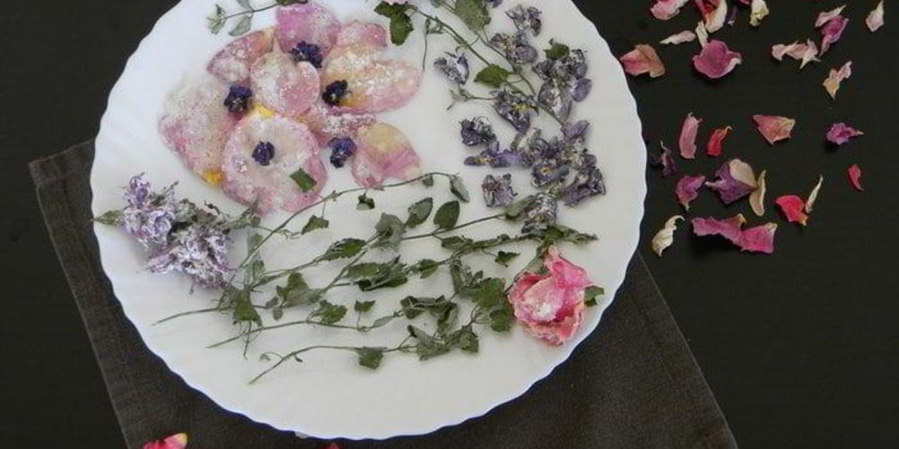 Рецепт цукаты из цветов неувядающая красота