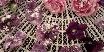 цукаты из цветов неувядающая красота