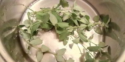 цукаты из цветов неувядающая красота