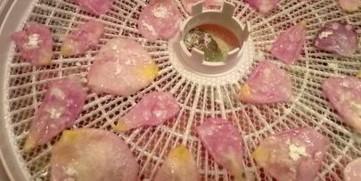 цукаты из цветов неувядающая красота