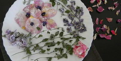 цукаты из цветов неувядающая красота