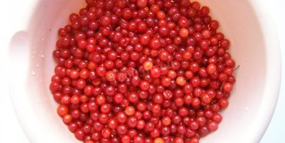 варенье из калины на зиму