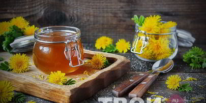 варенье из одуванчиков