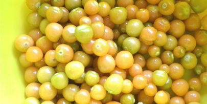 варенье из земляничного физалиса с корицей и лимоном