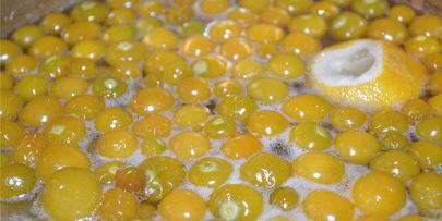 варенье из земляничного физалиса с корицей и лимоном