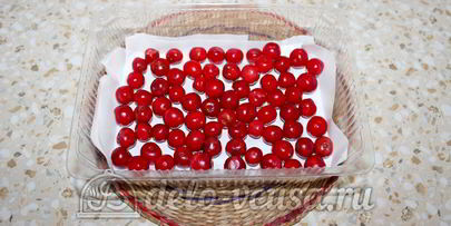 вишня на зиму