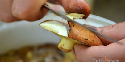 заготовка маслят