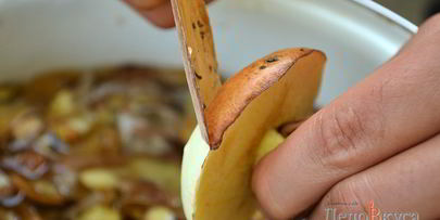 заготовка маслят