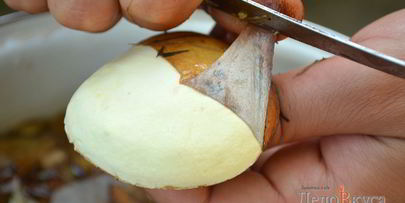 заготовка маслят