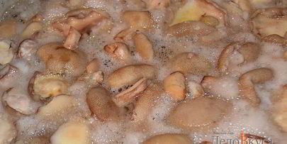 заготовка маслят