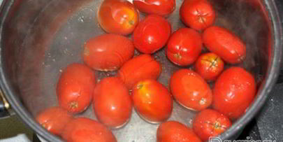 заготовка пассаты