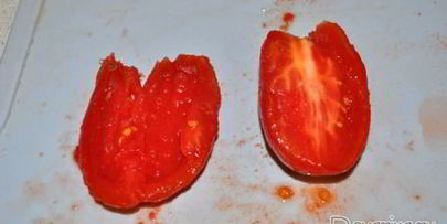 заготовка пассаты