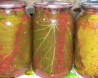 Заготовка виноградных листьев