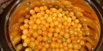 заготовки из физалиса