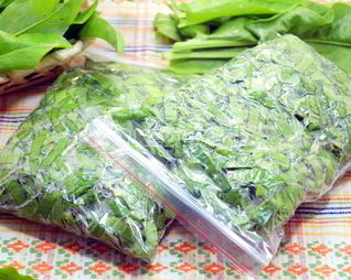 Заморозка щавеля на зиму