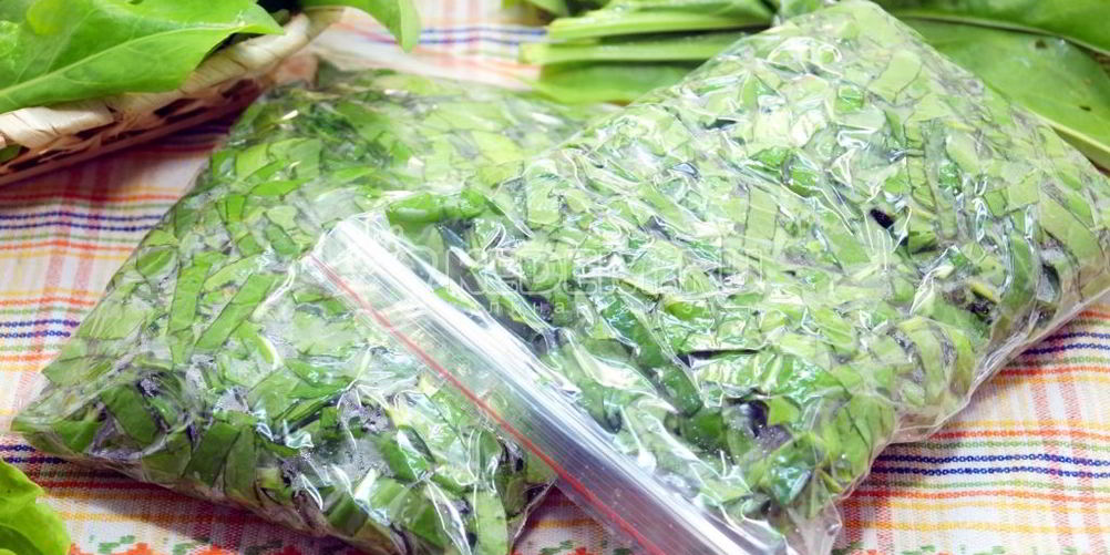 Рецепт заморозка щавеля на зиму