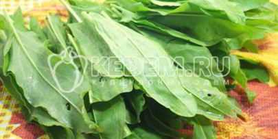 заморозка щавеля на зиму