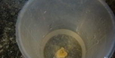 домашний сыр с пепсином