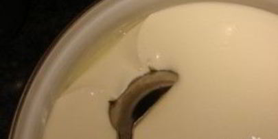 домашний сыр с пепсином