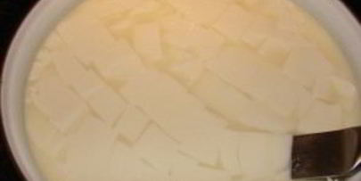 домашний сыр с пепсином