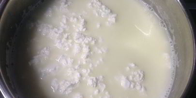 домашний сыр за один день неделька