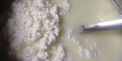 домашний сыр за один день неделька