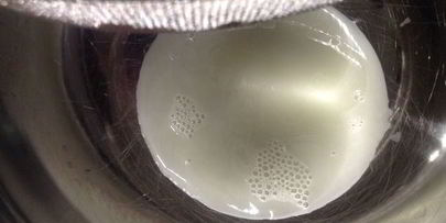 домашний сыр за один день неделька