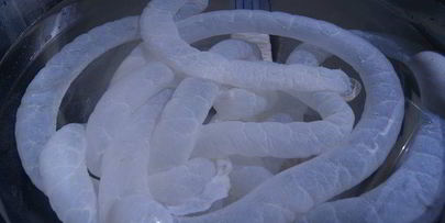 домашняя колбаса из индейки