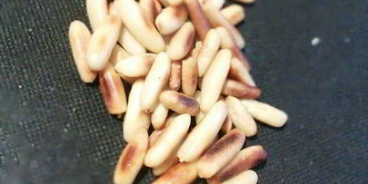 козий сыр, запеченный под ореховой корочкой на сливовом карпаччо