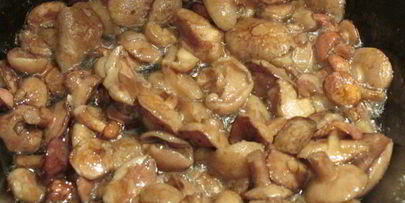 фриттата из кабачков с грибами