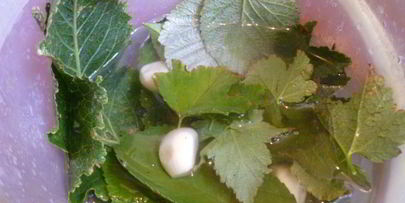 помидоры с виноградом и сладким перцем