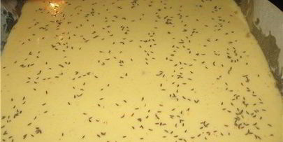 картофельный рулет