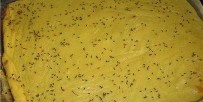 картофельный рулет