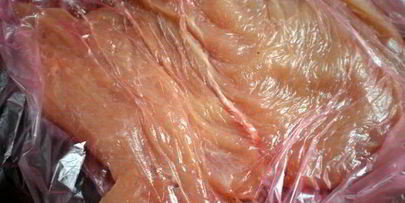 куриные рулеты с творогом в беконе