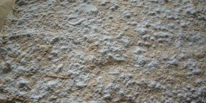 меренговый рулет с клюквенным соусом-начинкой