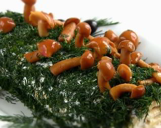 Рулет с курицей Сказочное полено